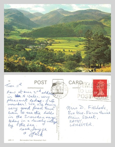 Vintage postcard borrowdale - -,