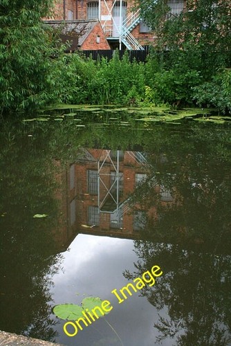 Photo 6x4 water lily - 6x4, in