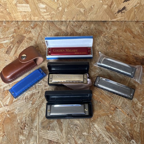 Harmonica hole stagg - 6,