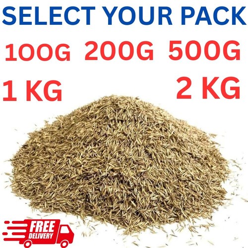 Lawn grass seed - 100, 200