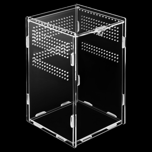 Reptile feeding box tarantula - feeding,