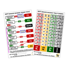 Major Incident Triage Tool
