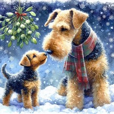 Single Luxury Airedale Terrier Christmas Card Dog Gift/Present XMP