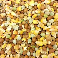 PIGEON MIX Colonels Four Season poultry cage wild bird food seed racing pet feed