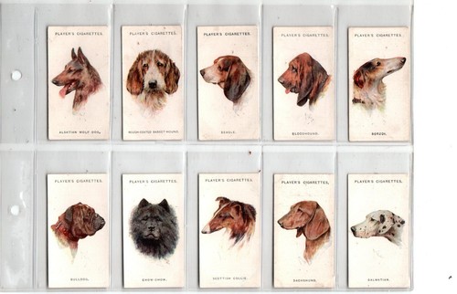 Players dogs 1929 - players:,