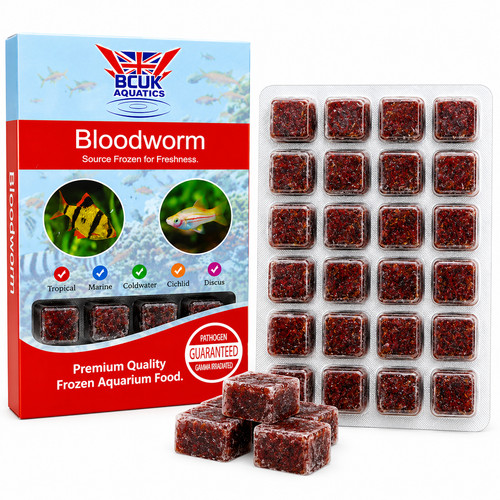 Bcuk frozen bloodworm - frozen, fish