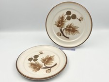 2x Vintage Denby Cotswold Side