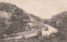 WELLINGTON, FOREST GLEN, Shropshire - Vintage POSTCARD