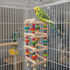 Colorful wooden parrot chew - parrot,