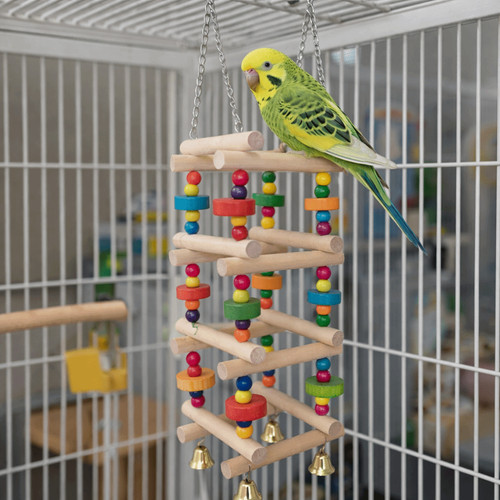 Colorful wooden parrot chew - wooden,