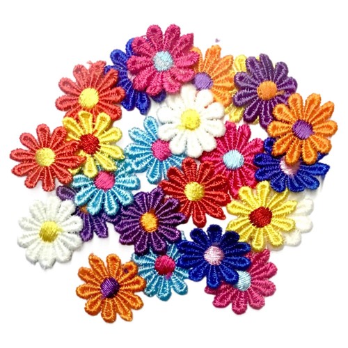 24x multicolour daisy flower - multicolour,