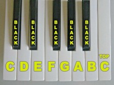 Roland XP-50 XP 60 - JW-50 JX-1 JX-305 SK-501V Replacement KEY