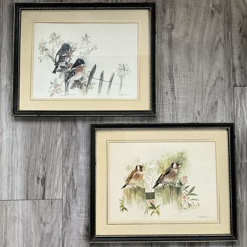 Joel kirk birds art prints - kirk,
