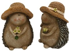 Hedgehog Wearing A Sun Hat