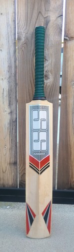 Ton professional cricket - ton,