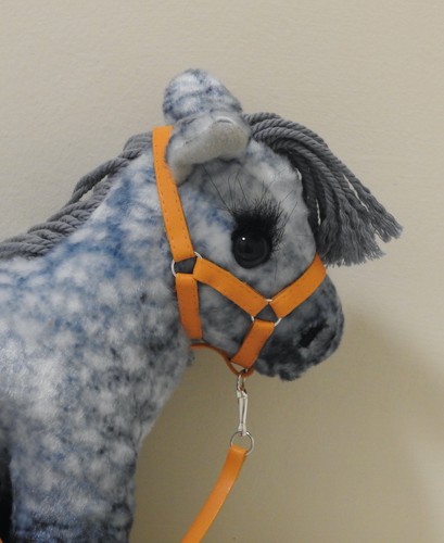 Handmade foal halter head - foal,