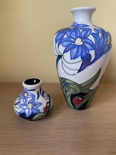 Moorcroft fly away - 2, x