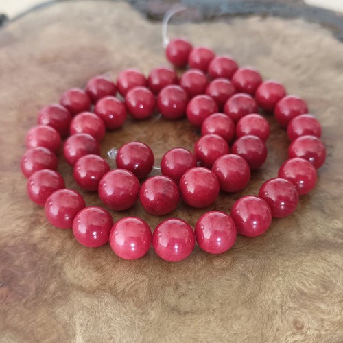 Red bamboo coral - red,