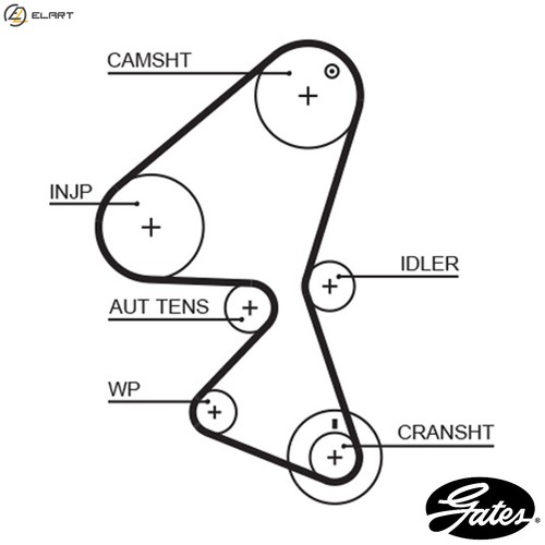 Timing belt 5587xs for - belt,