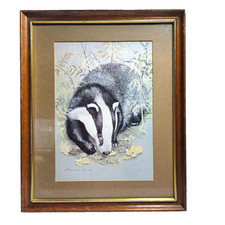 Vintage Badger Print By Alexandra Jacobs