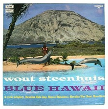 Wout Steenhuis - Blue Hawaii