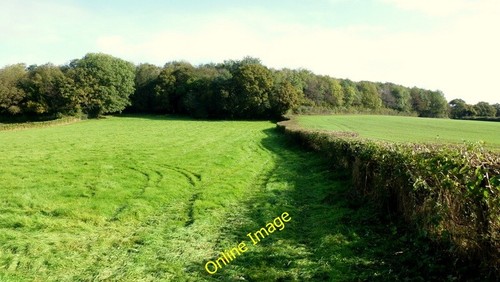 Photo 6x4 field - 6x4, of