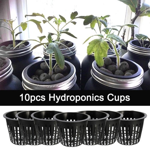 Garden vegetable pots - vegetable,