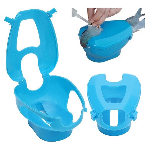 Dove pigeon holder - pigeon,