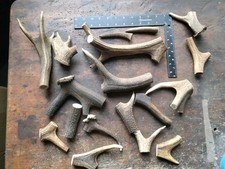 Large Stag Antler Off Cuts, Dog Chews