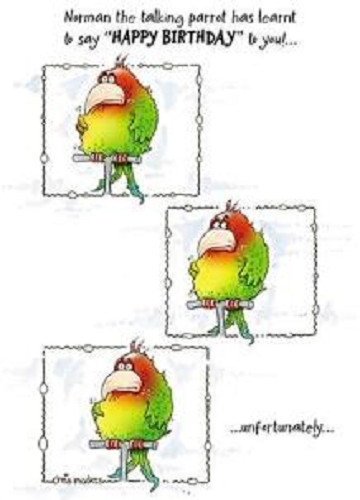 Funny birdwit birthday card - birdwit,