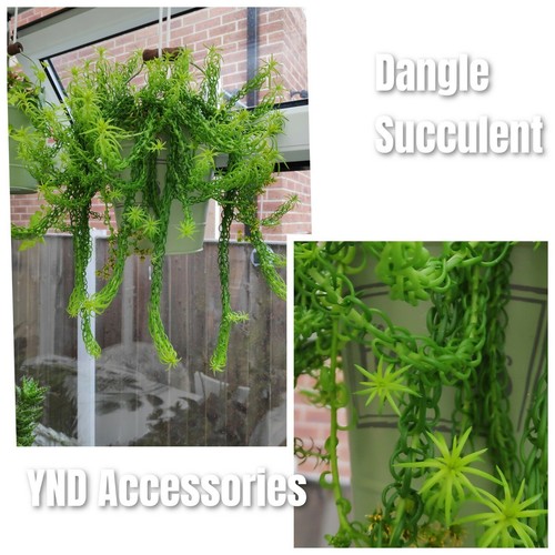Rare dangle indoor - 4,