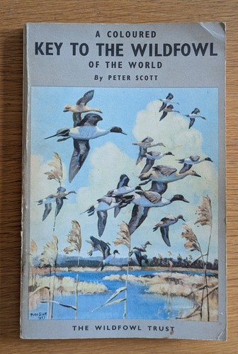 Coloured key the wildfowl - a, to