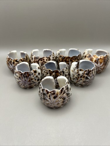 Tiger cowrie shell napkin - 8,