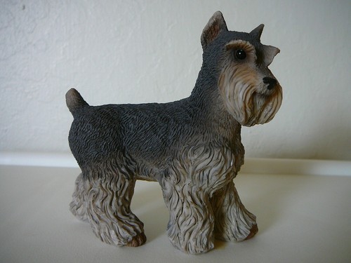 Stone critter schnauzer - schnauzer, dog