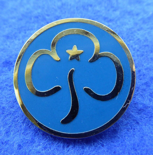Vintage girl guide promise - vintage,