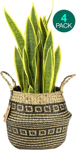 Pack natural craft - natural, seagrass