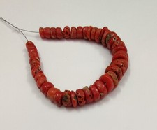 Genuine 100% Natural Coral