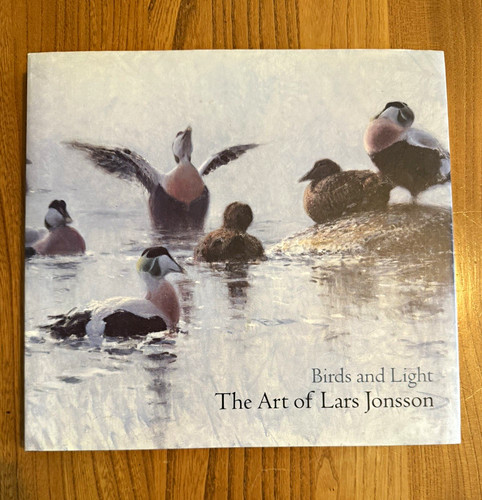 Birds and light - and, light:
