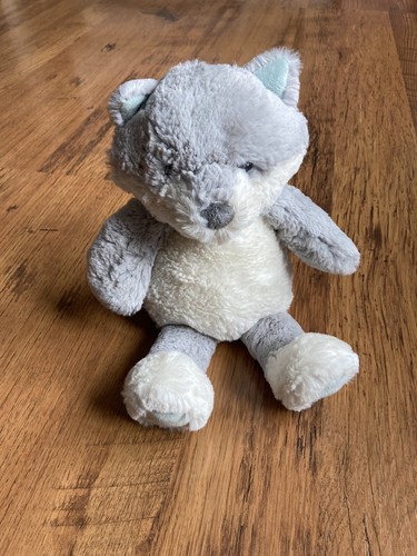 Fatface rare arctic fox - arctic, teddy