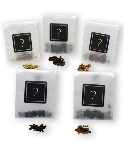 Random bonsai seed - random, collection