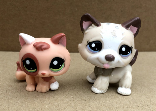 Authentic littlest pet shop - authentic,
