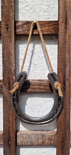 Rustic lucky horseshoe - lucky,