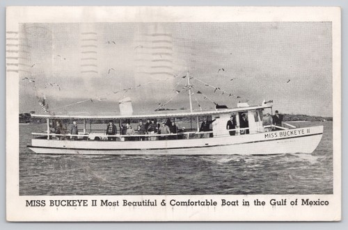 Miss buckeye deep sea - buckeye, ii