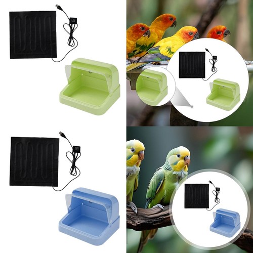 Chick brooder bird incubator - chick,