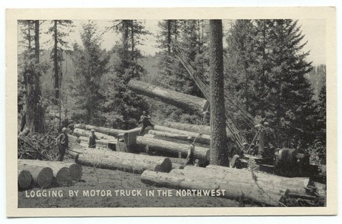 Logging motor truck the - logging, by