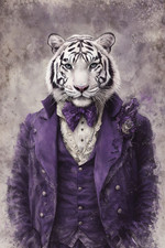 Gentelman White Tiger with a