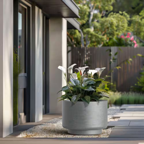 Large natural gray - large,