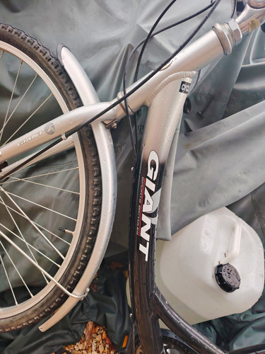 Giant cxl hybrid - giant,