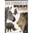 Ultimate wildlife dvd - ultimate, {free