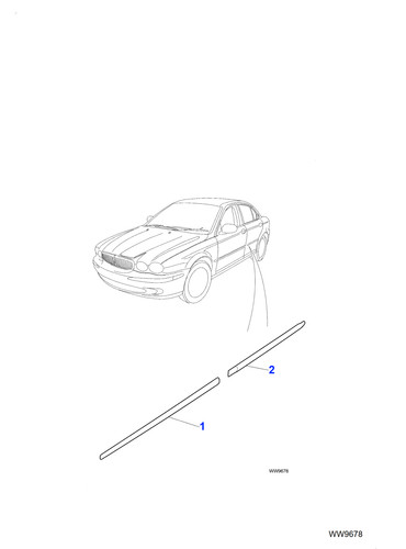 Jaguar genuine door - door, moulding